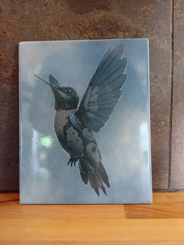 colibris