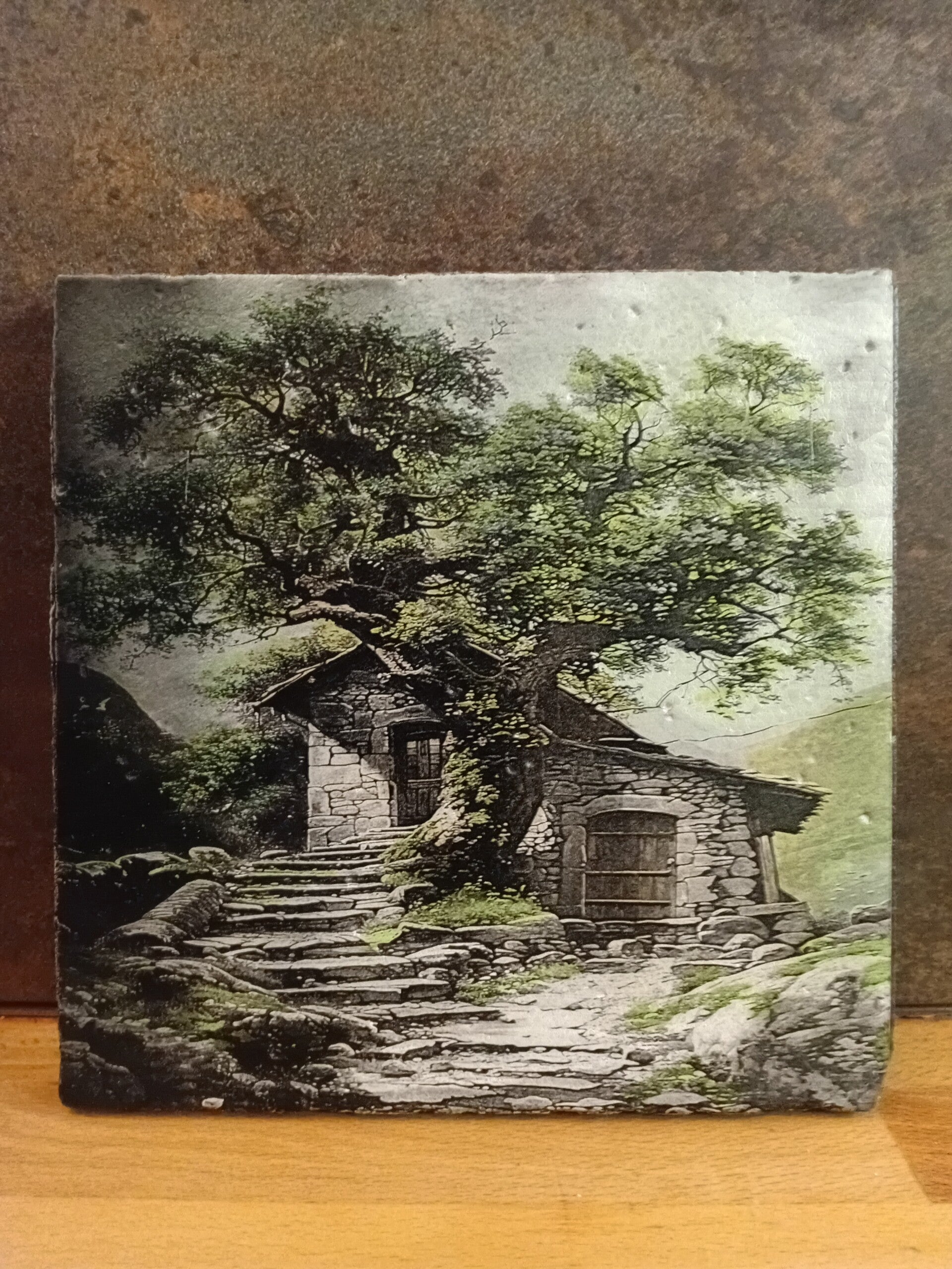 paysage 37