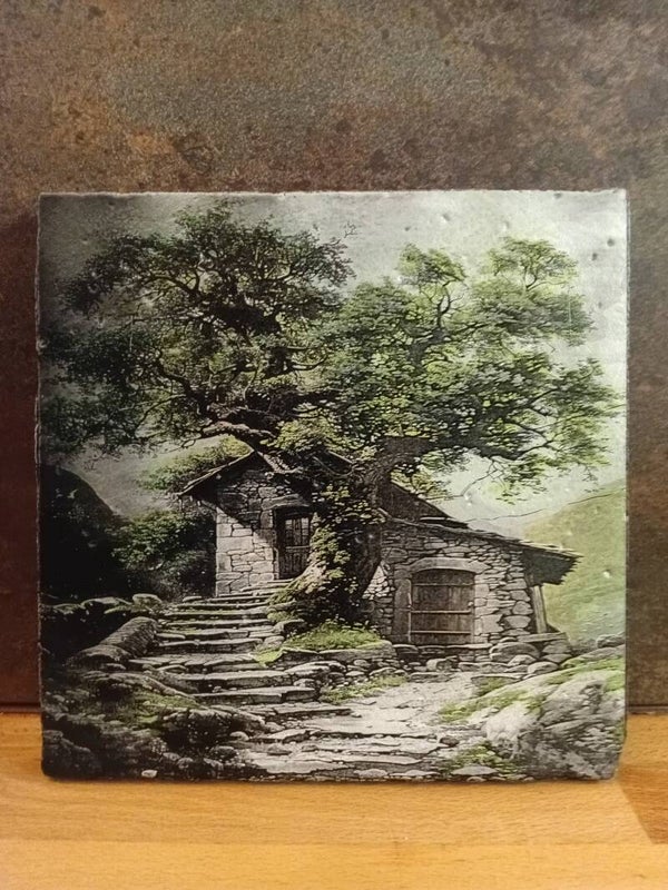 paysage 37