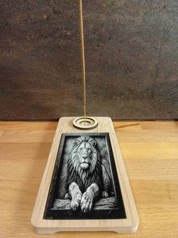Lion 001