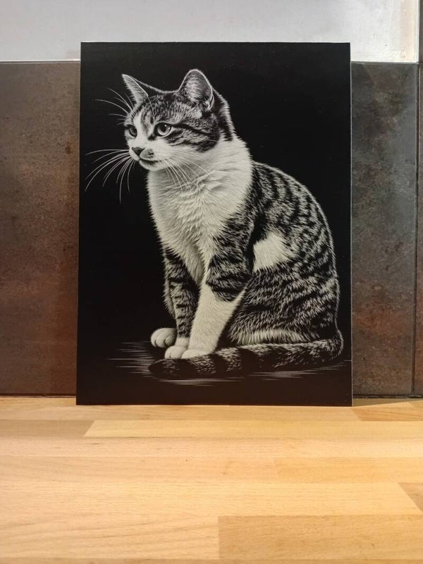 chat