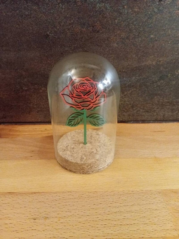 Rose sous verre