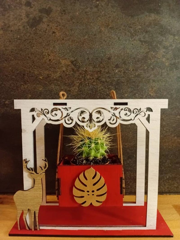 Porche avec cactus suspendu