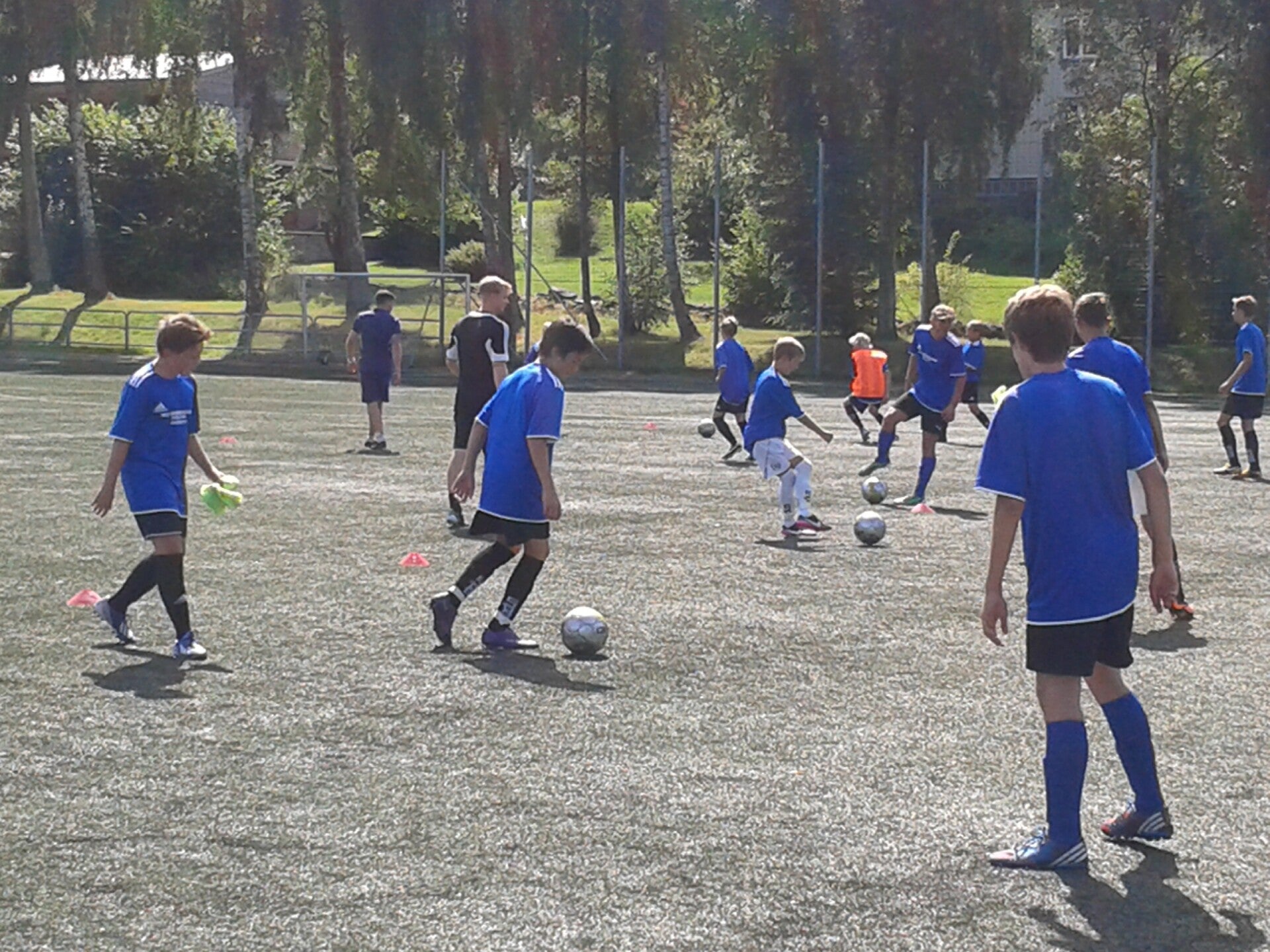 20130805_133936-standard.jpg