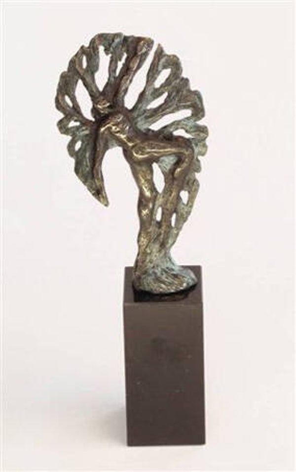 Beeld “Evolution”