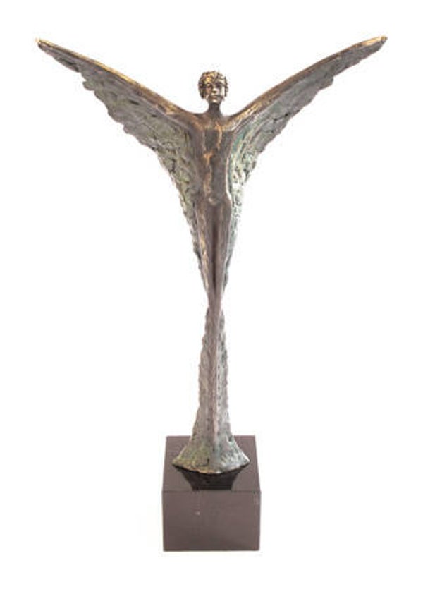 De bescherm engel “The Guardian”