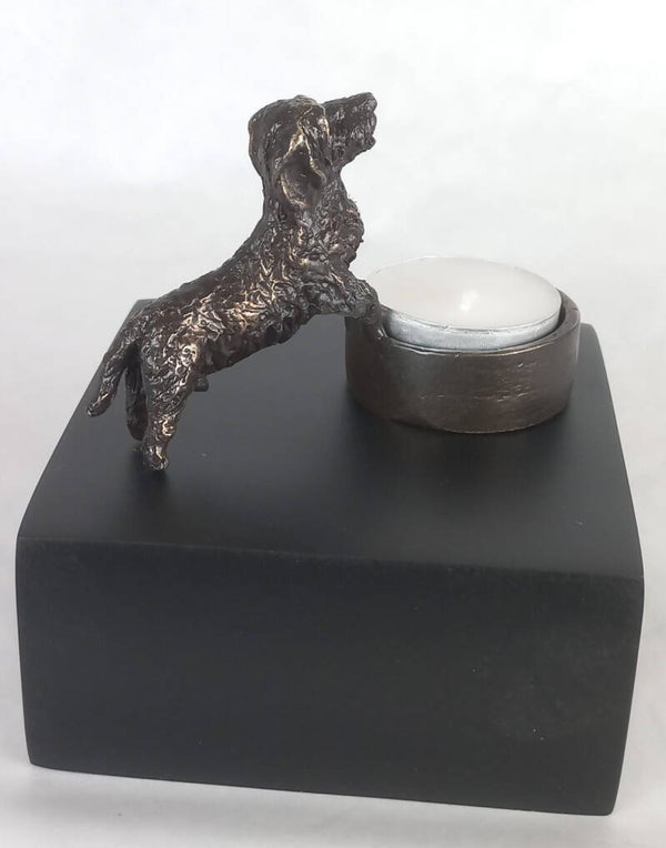 Honden urn ruwhaar teckel