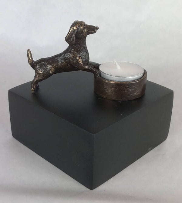 Honden urn Langhaar teckel