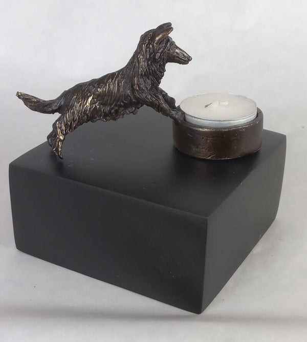 Honden urn Collie langhaar