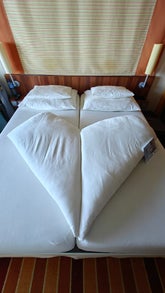 img20250209121721-standard.jpg
