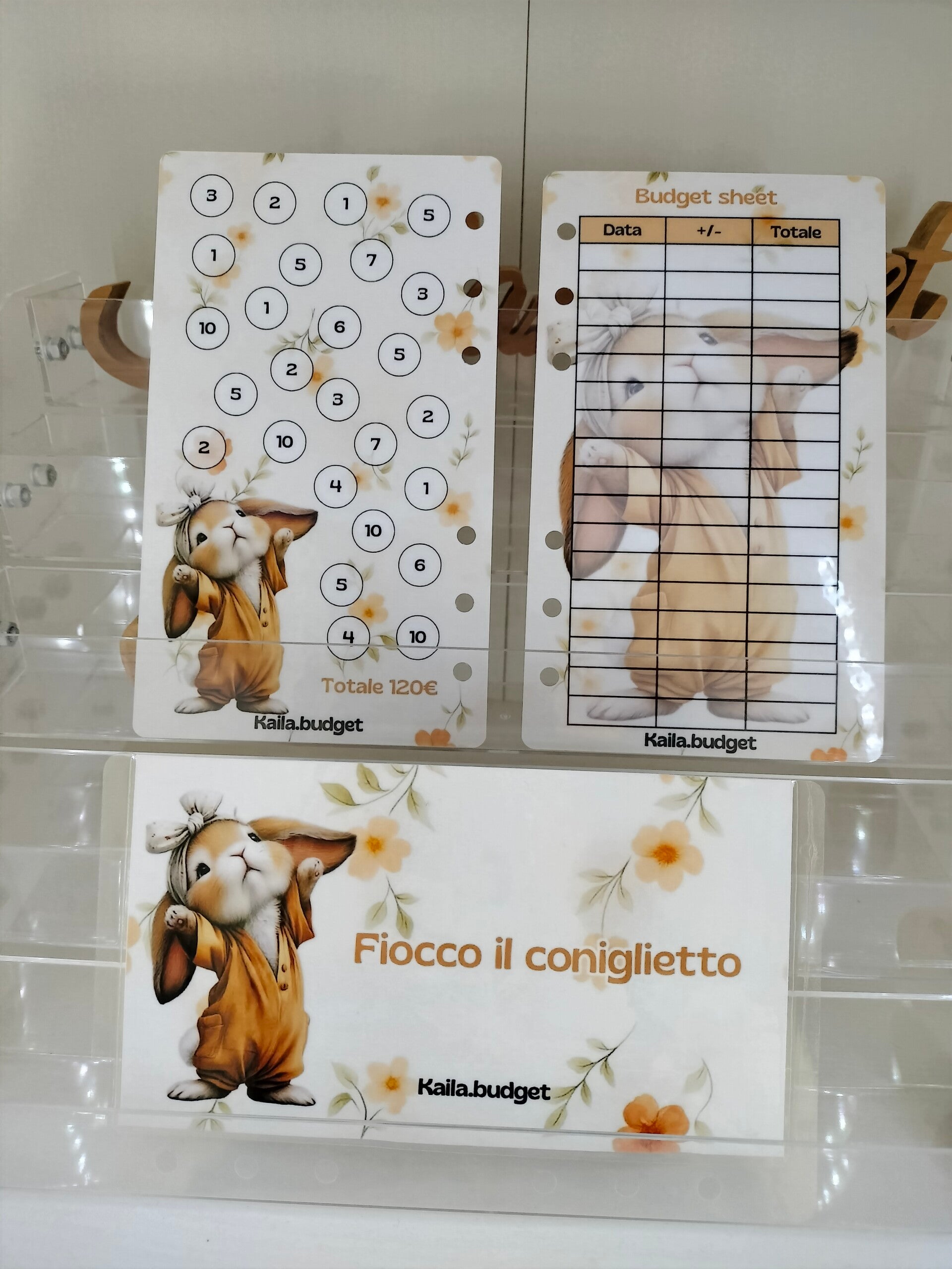 Fiocco il coniglietto