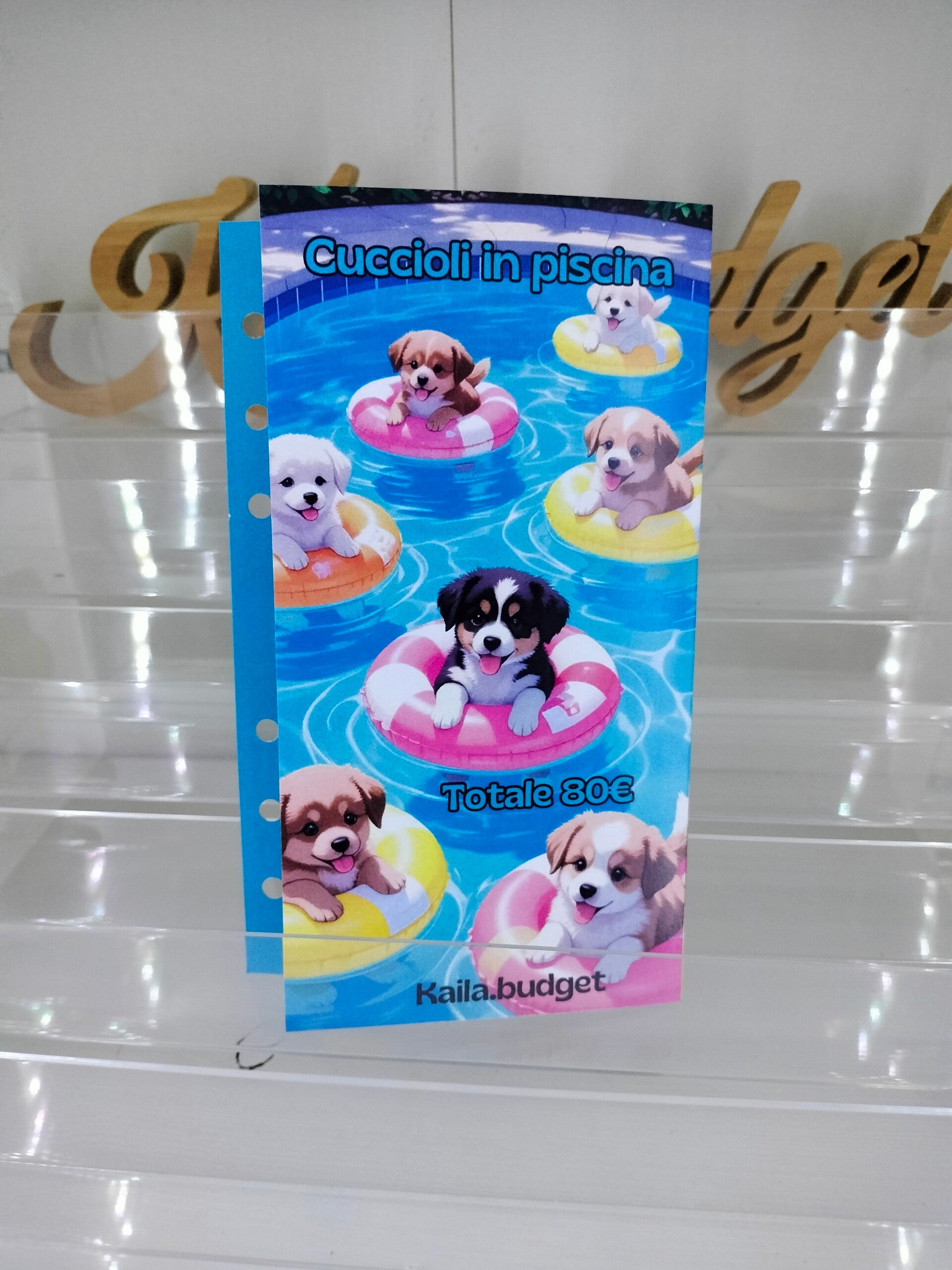 Cuccioli in piscina
