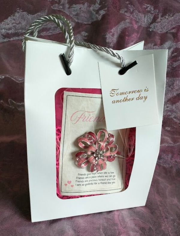 Friendship - brooch and scarf gift set