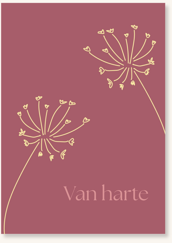 Verjaardag - Van harte twee bloemen