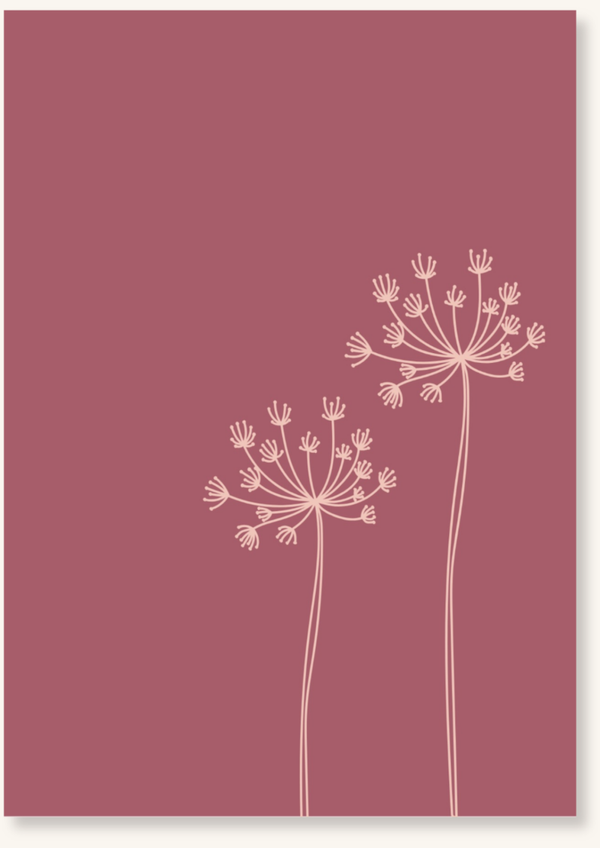 Blanco - Twee pluimbloemen roze