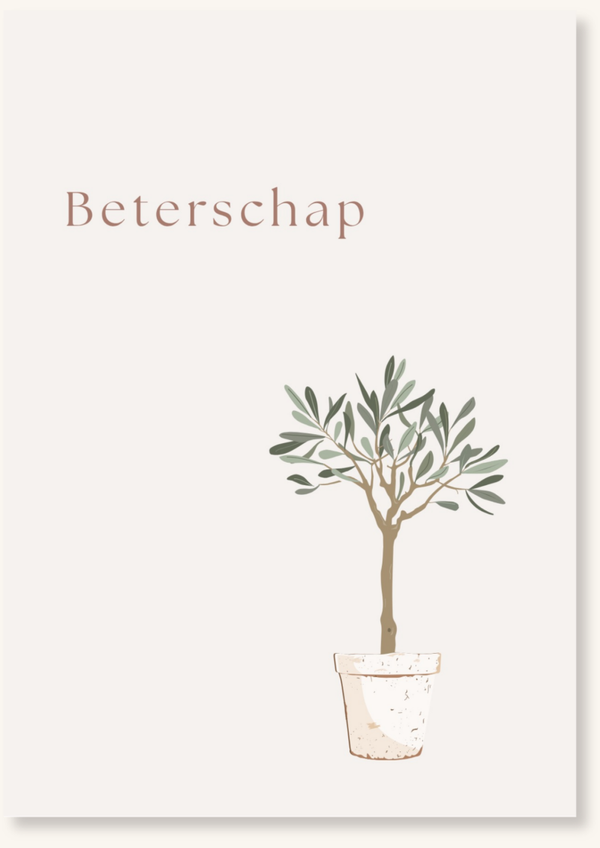 Beterschap - Olijfboompje