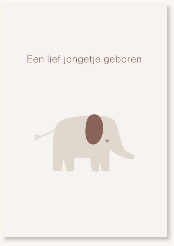 Geboorte - Een lief jongetje geboren olifant