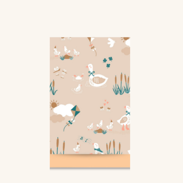 Cadeauzakjes - Eendjes maat M - 5 stuks