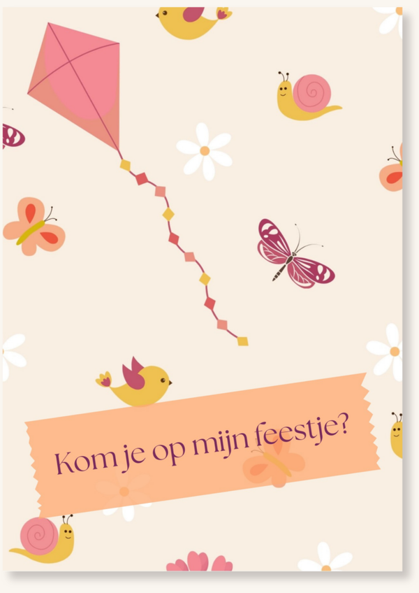 Uitnodigingskaartjes - Vlieger