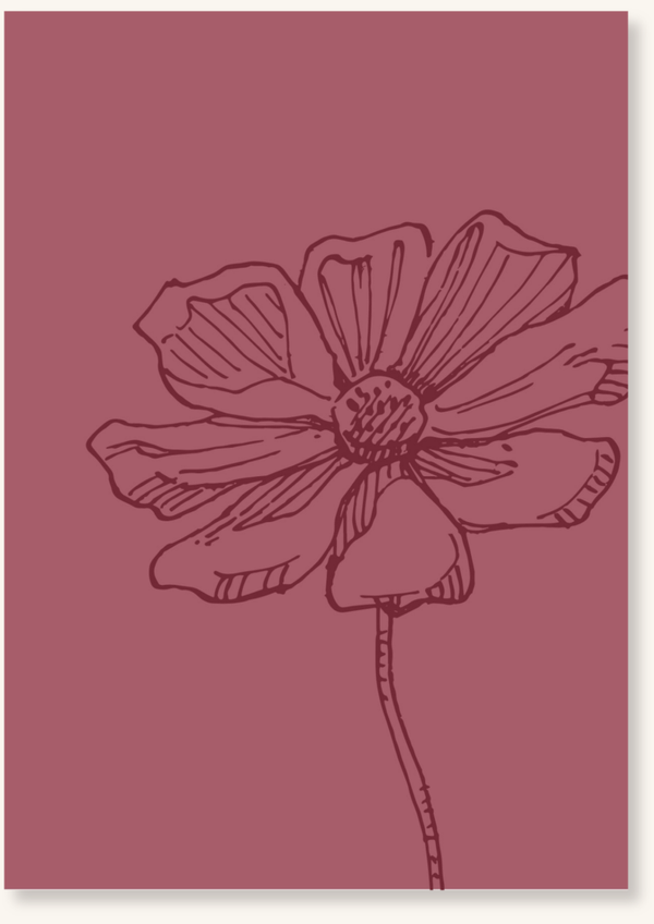 Blanco - Grote roze bloem