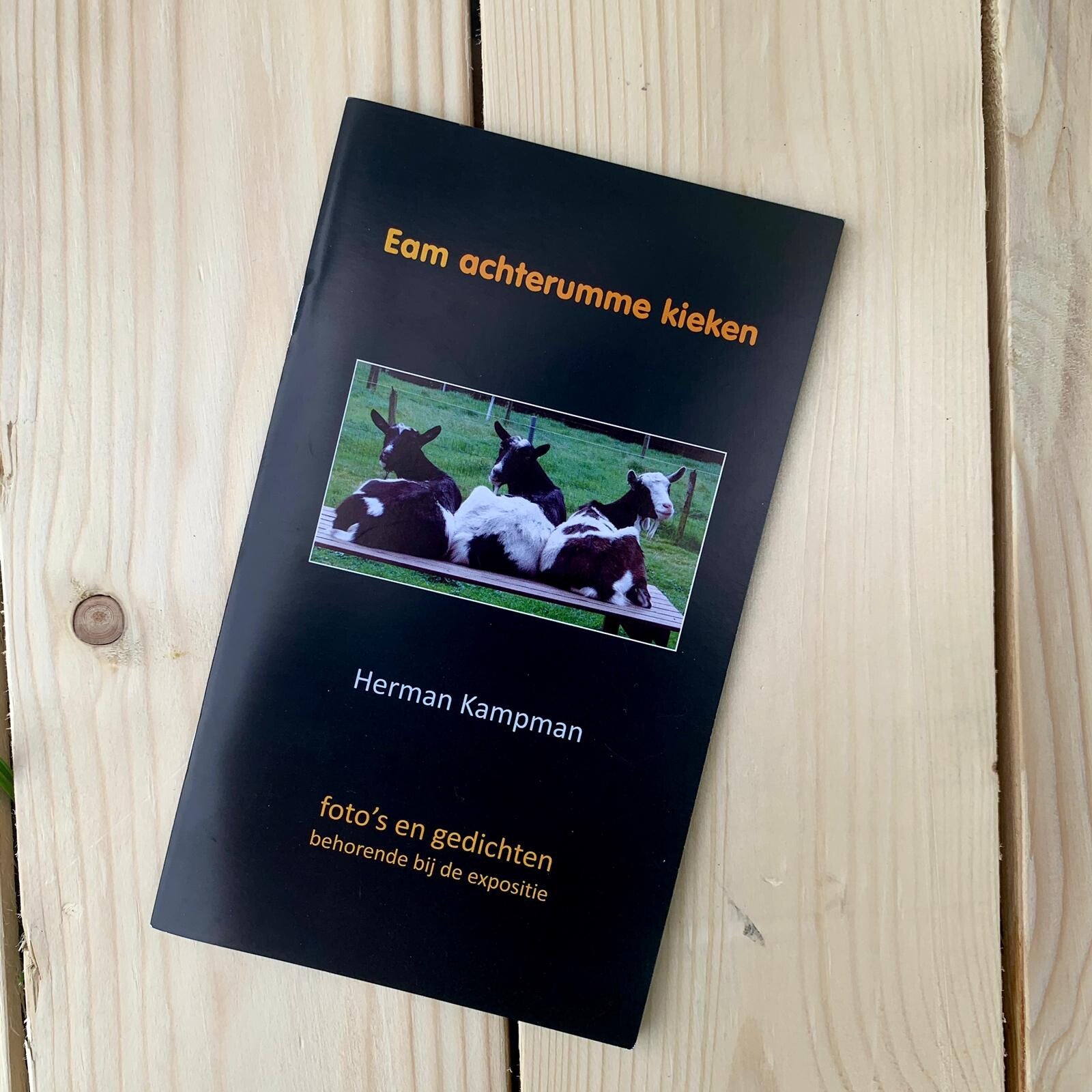 Eam achterumme kieken