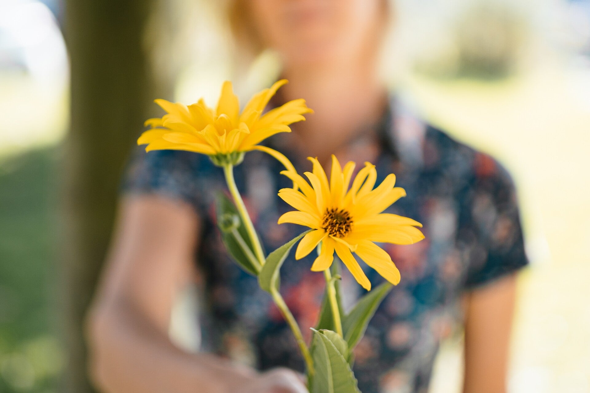 communicatie en feedback geven