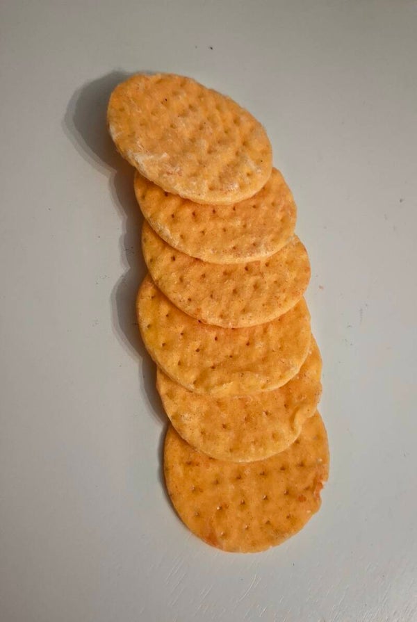 REG. FIRE STARTER BISCUTS 6 PIECES FOR $10.00 + SHIPPING