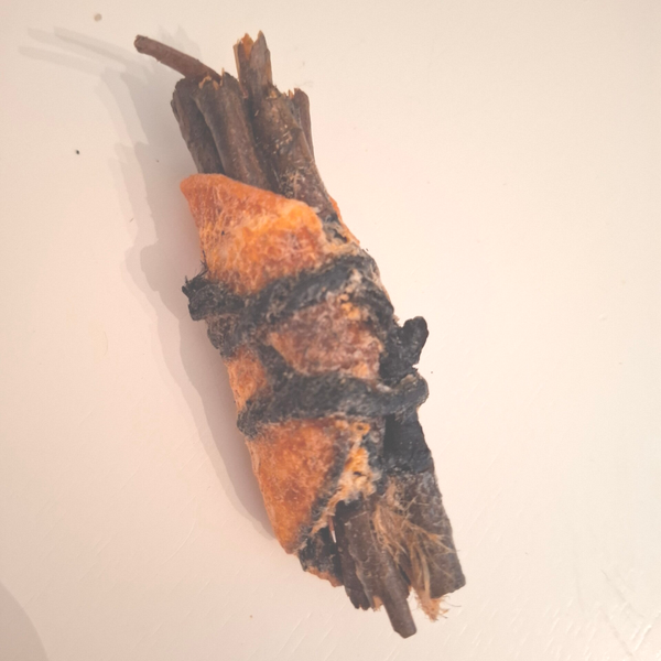 PINE TWIIGS DIPPED IN BEES WAX 2 PIECES FOR $12.00 + SHIPPING AND TAX CALCULATED AT CHECKOUT