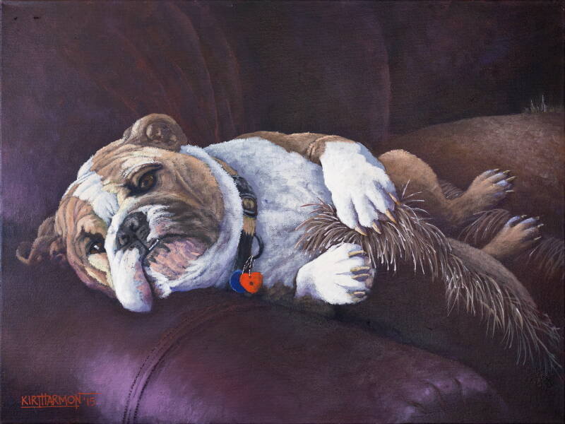belle-tony-s-bulldog-standard.jpg