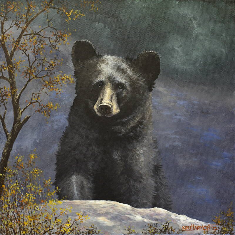 black-bear-standard.jpg