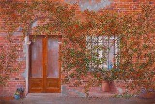 bougainvillea-baird-standard.jpg