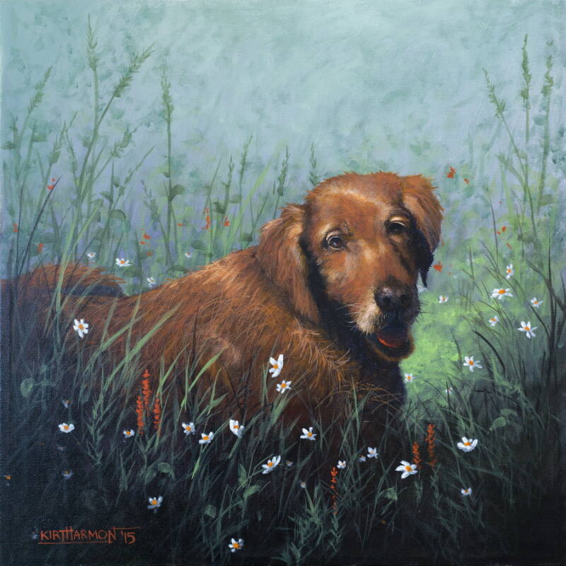 casey-golden-retriever-standard.jpg