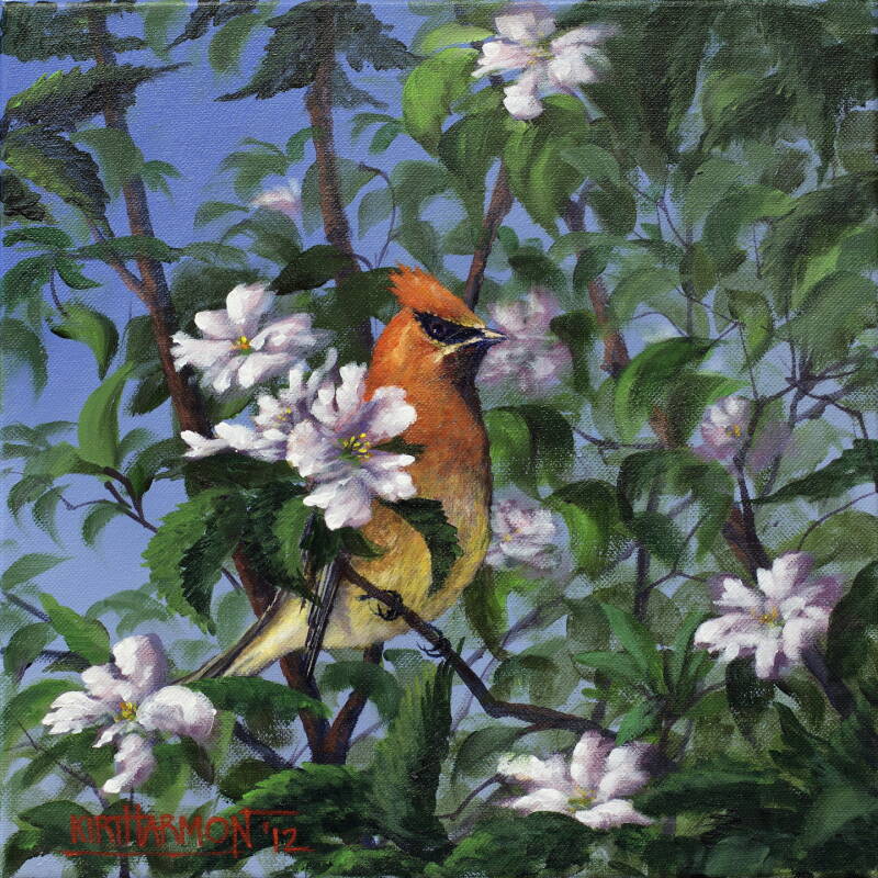 cedar-wax-wing-standard.jpg