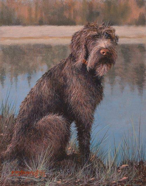 charlie-baird-standard-q7te13.jpg