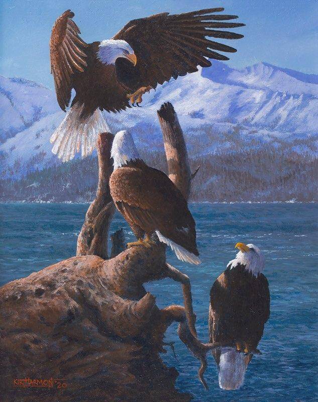 eagle-summit-baird-standard.jpg