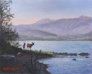 elk-baird-standard.jpg