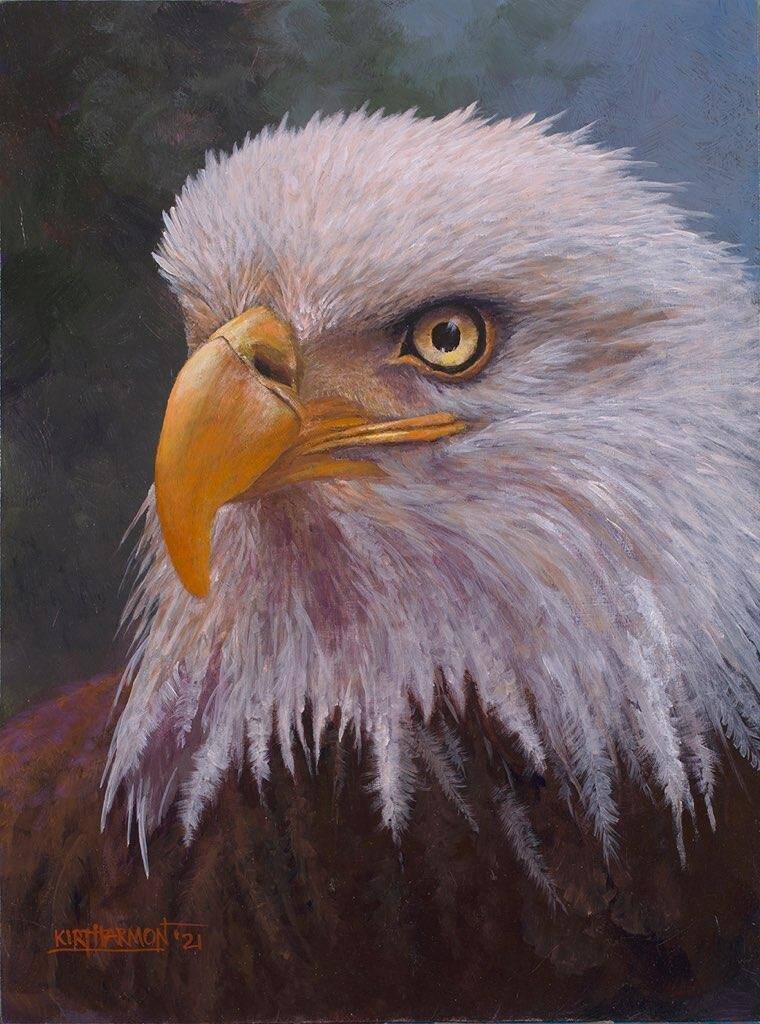 fierce-baird-standard.jpg
