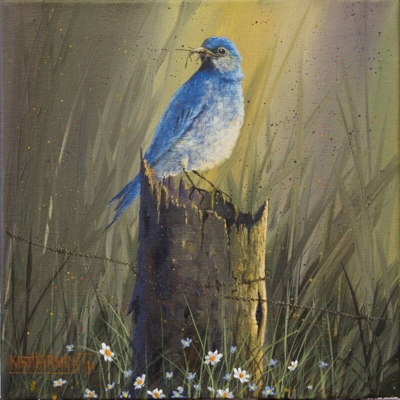 forget-me-not-blues-standard.jpg