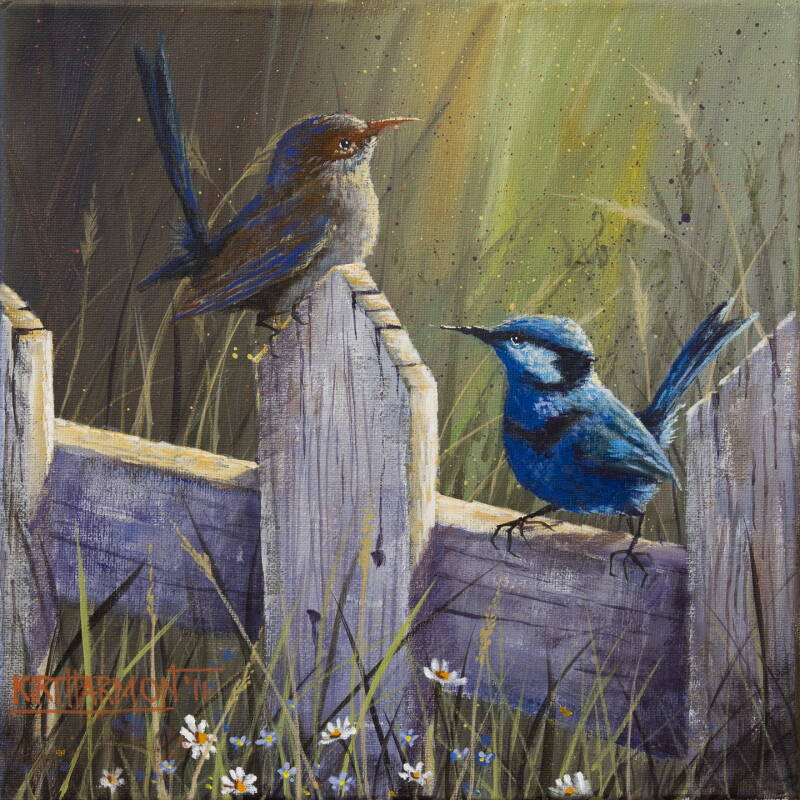 forget-me-not-summer-wren-blues-standard.jpg
