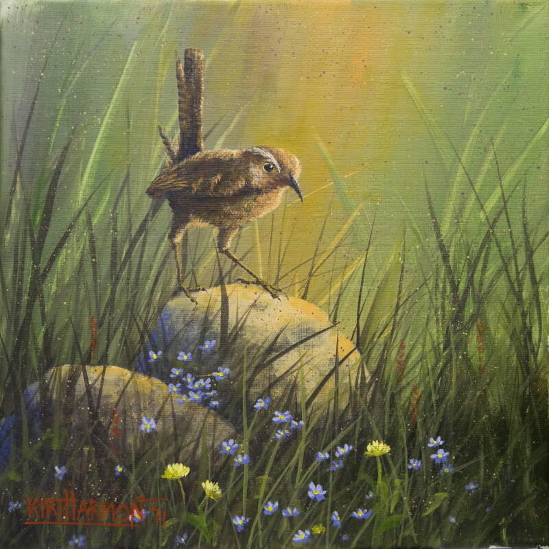 forget-me-not-wren-standard.jpg