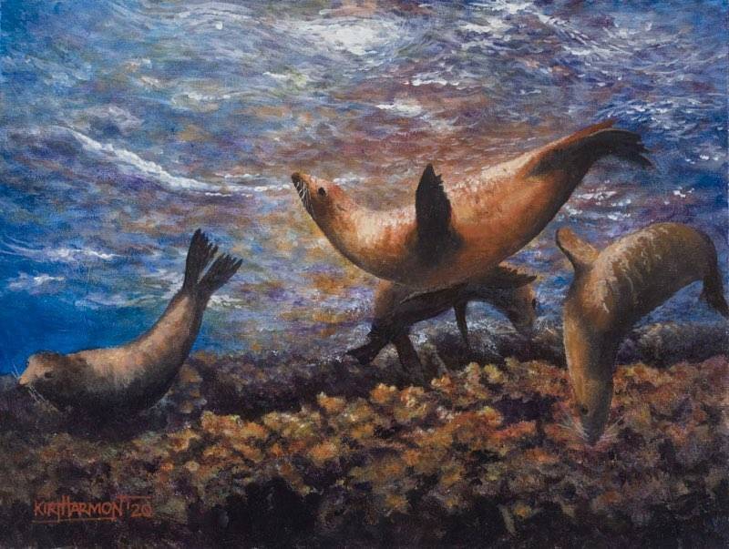 frolicking-baird-standard.jpg