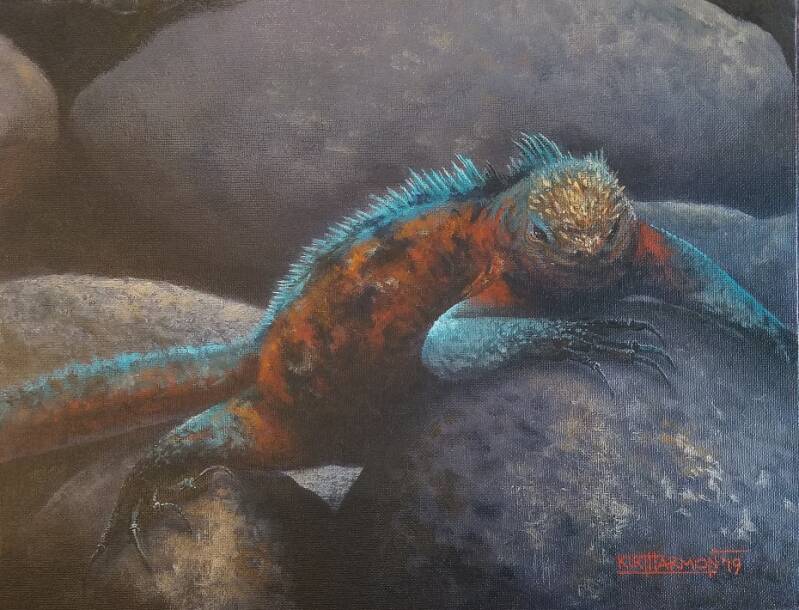 galapagos-marine-iguana-standard.jpg