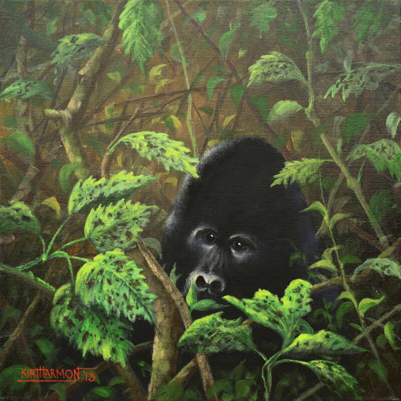 gorilla-standard.jpg
