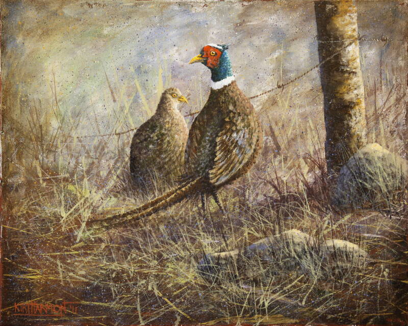 hen-pecked-standard.jpg