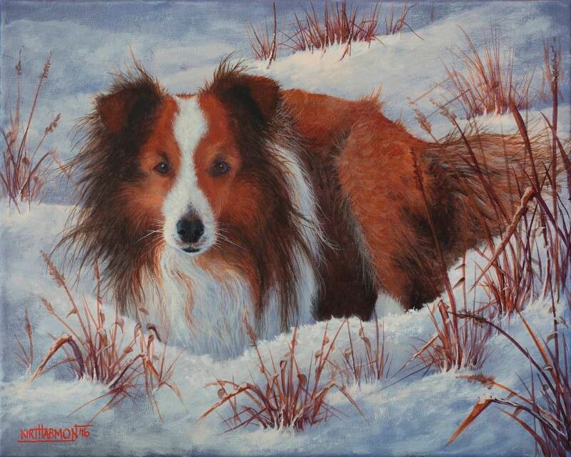 jacy-david-hulet-16x20-standard.jpg