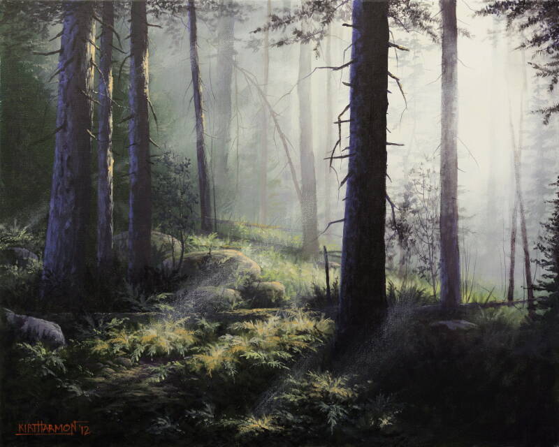 light-in-the-forest-standard.jpg