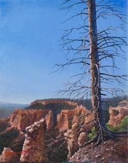 lone-tree-at-bryce-baird-standard.jpg
