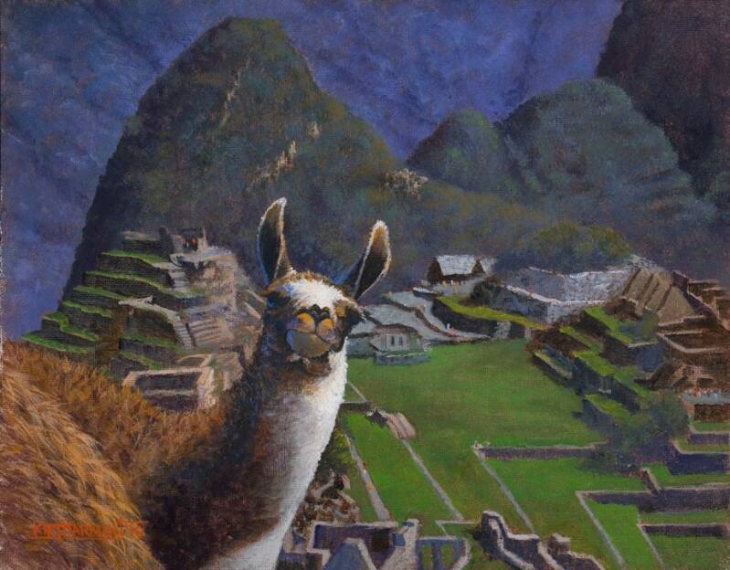 machu-picchu-llama-baird-standard.jpg