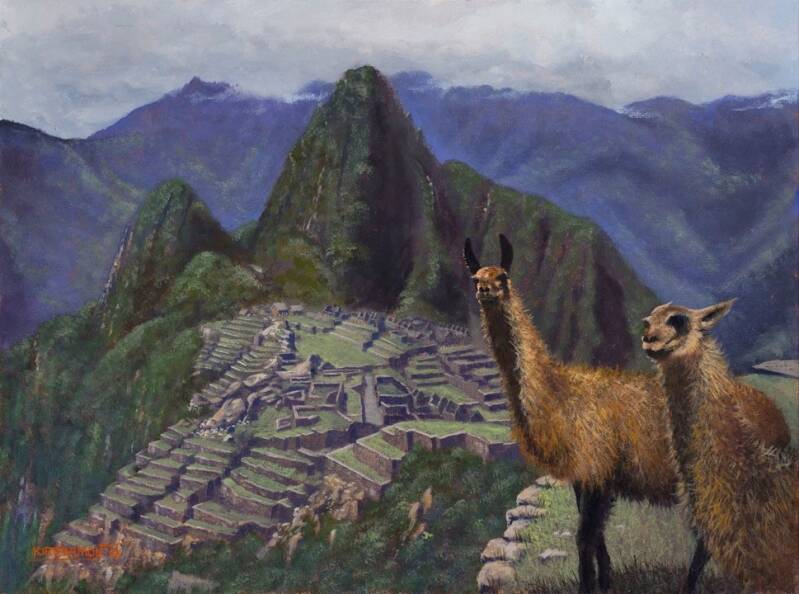 machu-picchu-ross-baird-standard.jpg