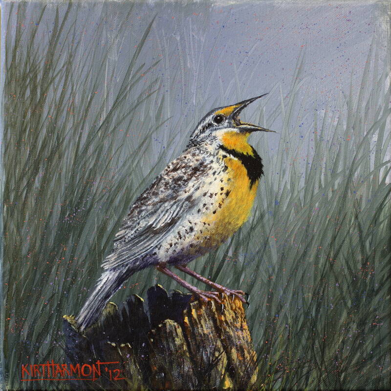 meadowlark-standard.jpg